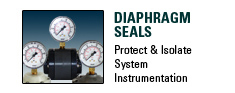 Diaphragm Seals, Protect & Isolate System Instrumentation